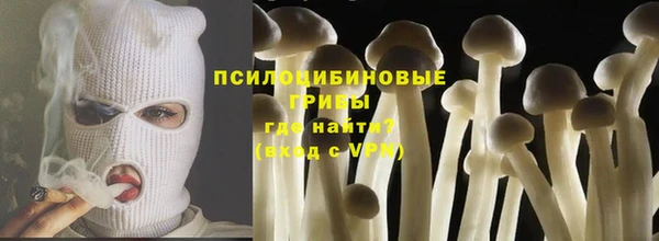индика Абаза